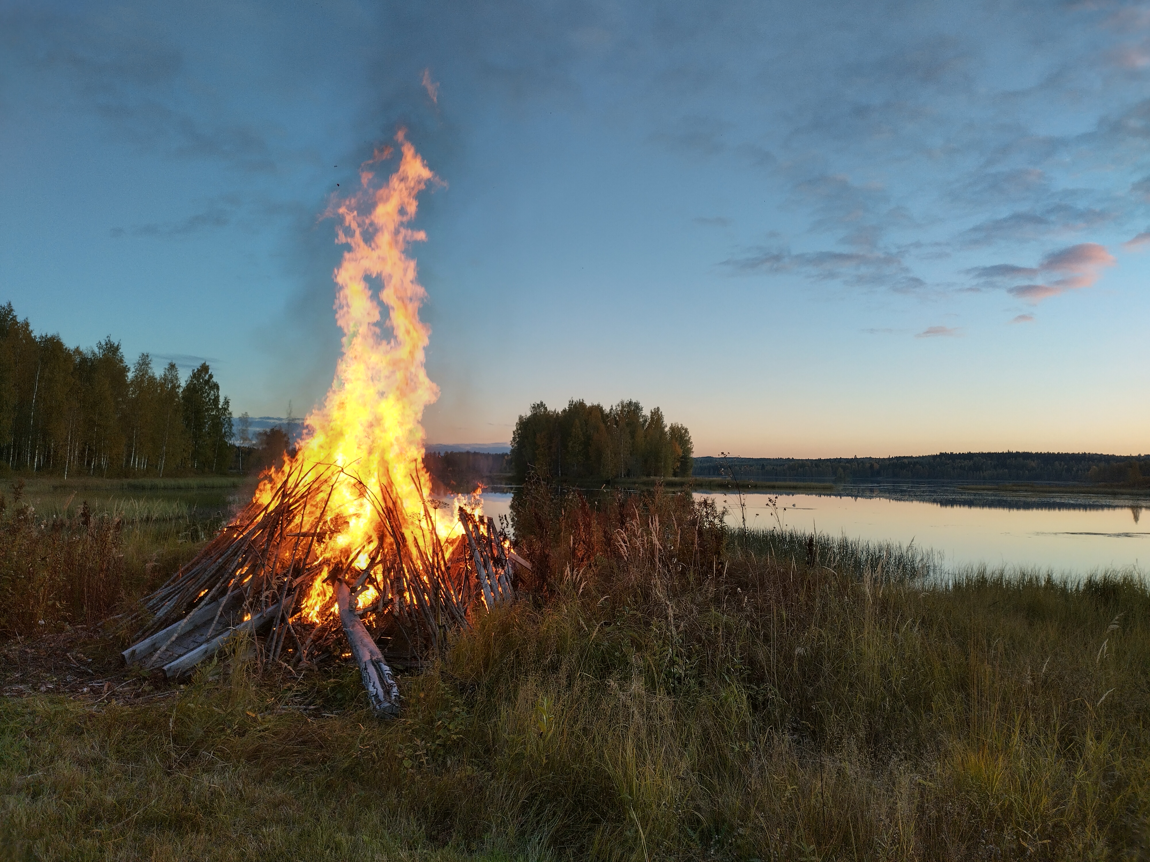 Kokko järven rannalla